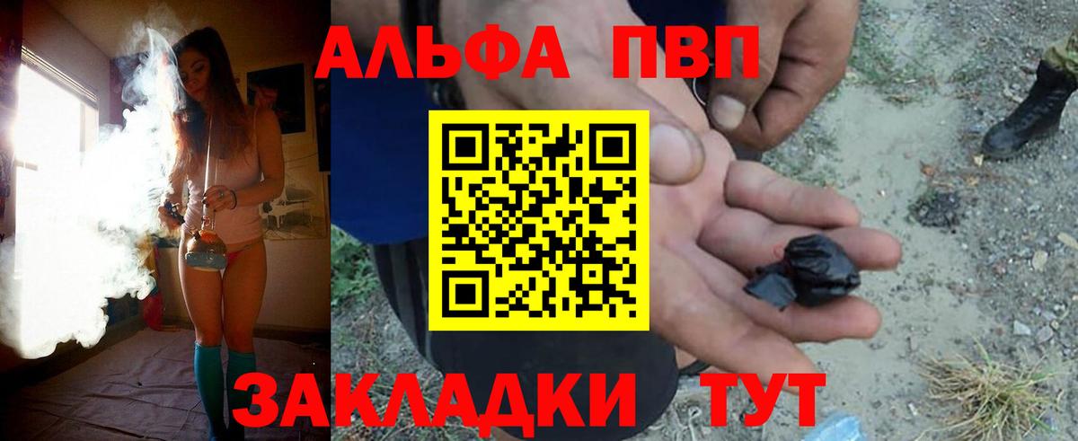 Alfa_PVP СК КРИС Котлас