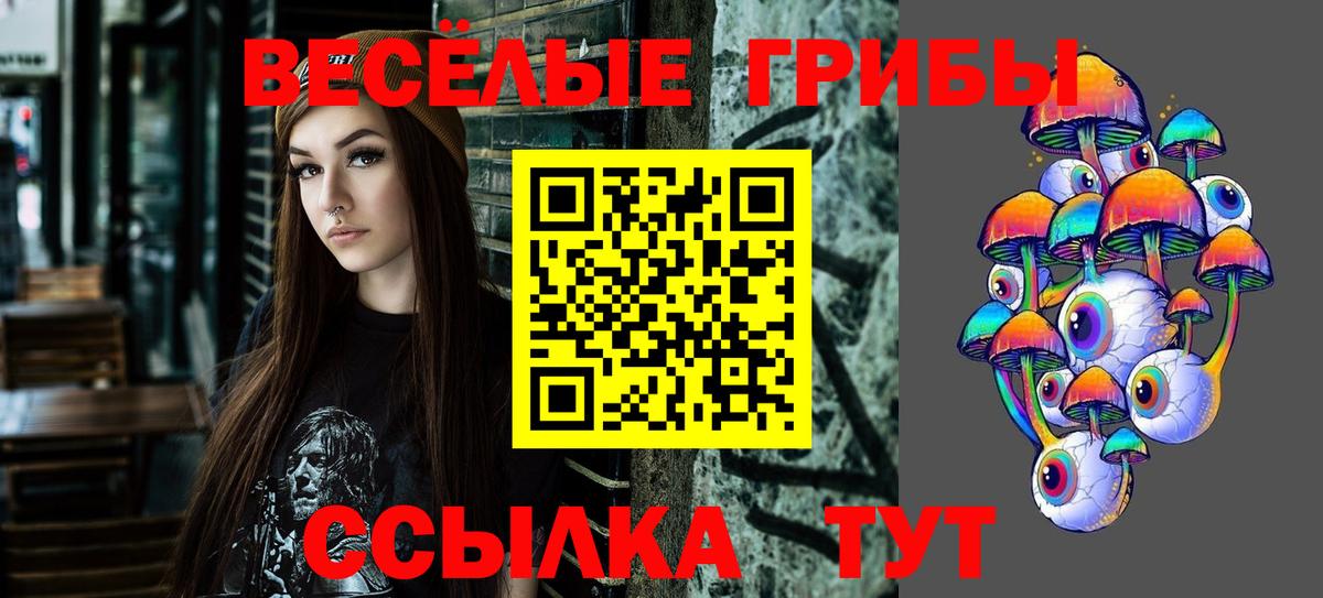 Псилоцибиновые грибы прущие грибы Котлас
