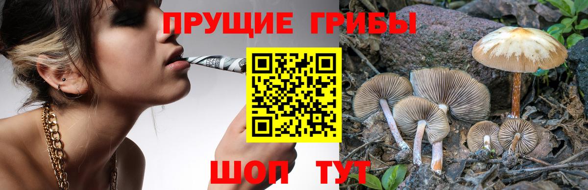 Котлас  купить   Вход с VPN  Галлюциногенные грибы прущие грибы 