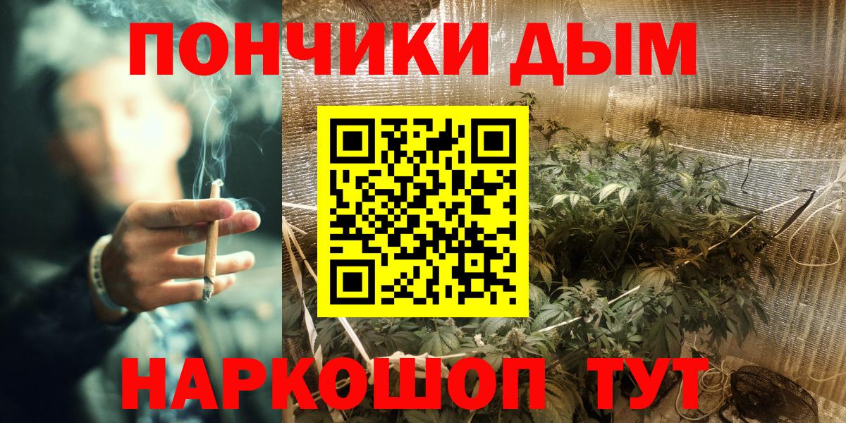Котлас  Канабис конопля  Канабис гибрид  Каннабис тримм  Вход с VPN 